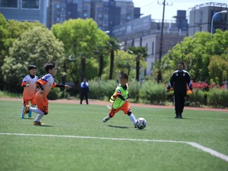 乐鱼(leyu)官网介绍